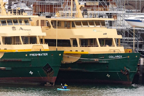 The Collaroy, right, tied up beside the Freshwater ferry at Cockatoo Island on Tuesday.