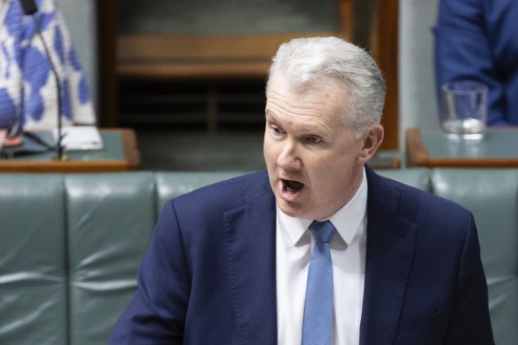 Workplace Relations Minister Tony Burke will impose an import ban on engineered stone, but the date is not yet known.