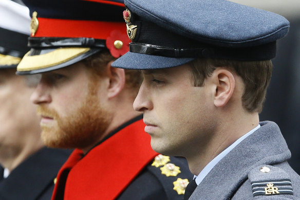 Prince Harry and Prince William, pictured together in 2015. 