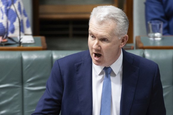 Minister for the Arts Tony Burke.