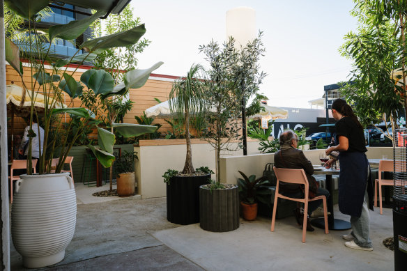 Flying Colours is a neighbourhood place designed for afternoon grazing.