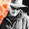 Andrew Thaler is a serial pest for one council, but all in NSW have a problem.