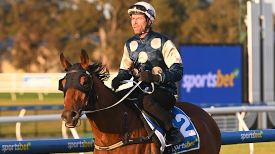 Buckaroo tunes up for the Caulfield Cup on Tuesday morning.