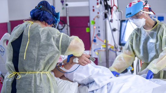 QUT researchers say high triglyceride levels are directly linked to patients developing severe COVID-19.