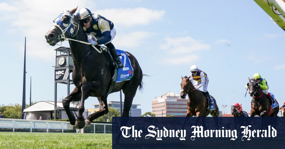 Autumn racing carnival 2024 Immediacy set for Rosehill Guineas test before Australian Derby