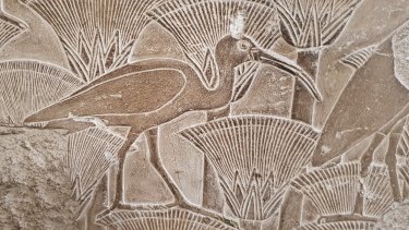 Researchers have shown through genetic testing the ancient Egyptians didn't farm ibises but instead maintained wild populations near temples