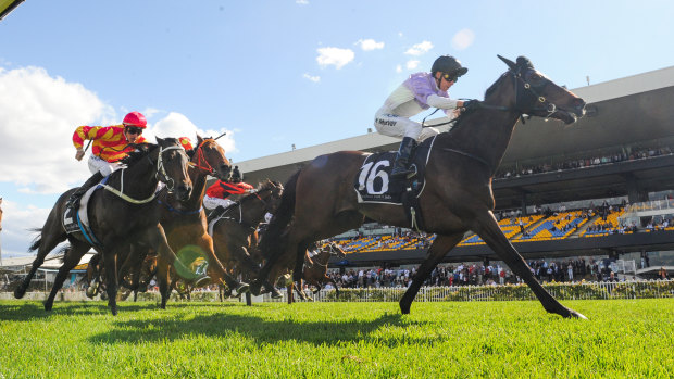 A good to soft track is expected for the nine-race card at Rosehill on Saturday