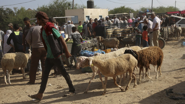A vendor walks with his sheep at a livestock market in preparation for the upcoming Muslim Eid holiday in Bureij refugee camp, central Gaza Strip.