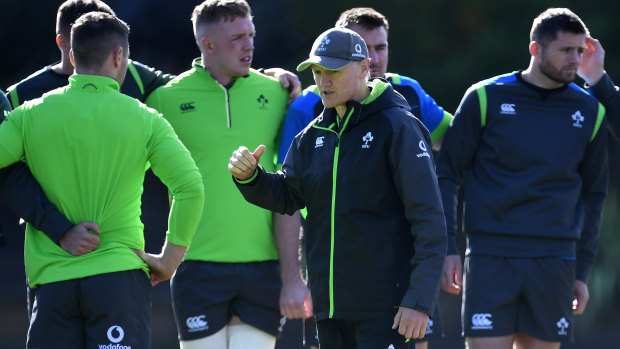 Rescue bid: Joe Schmidt made eight changes to the Ireland line up for the second Test
