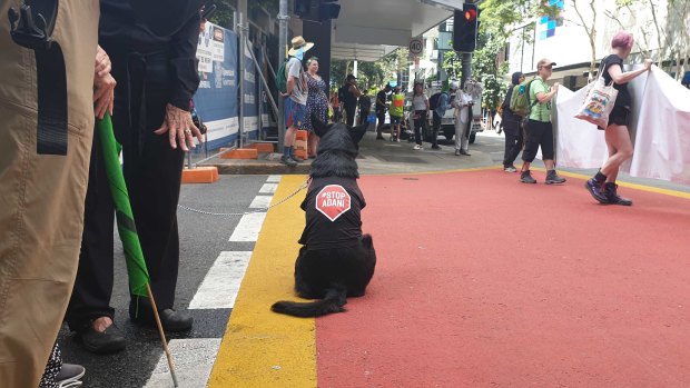 Extinction Rebellion activists glued their hands to the intersection of Albert and Mary streets in the Brisbane CBD on Thursday afternoon.