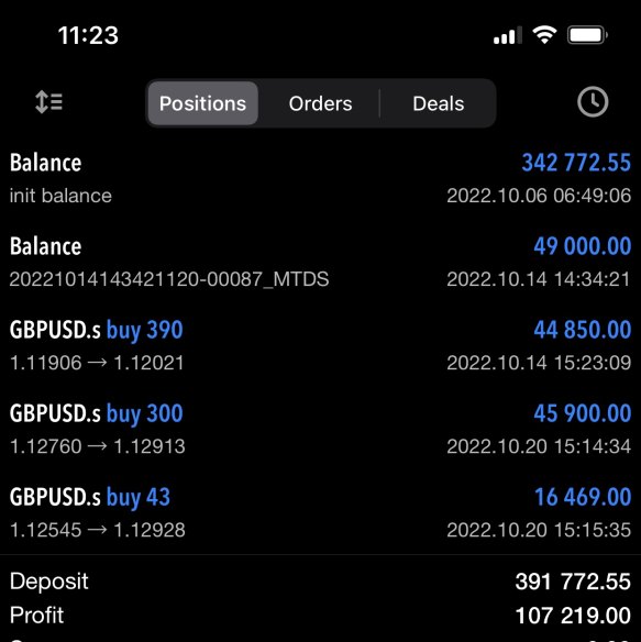 Screen grab from fake online trading records.