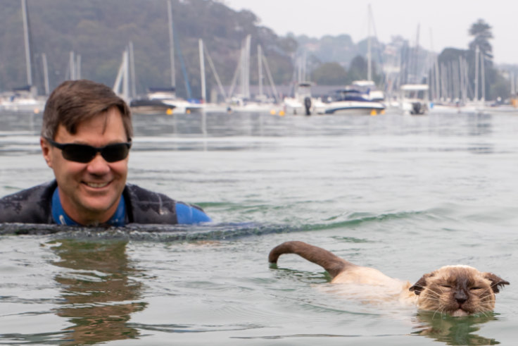 Scotland Island Dog Race Swimming Cat Bidding To Join Annual