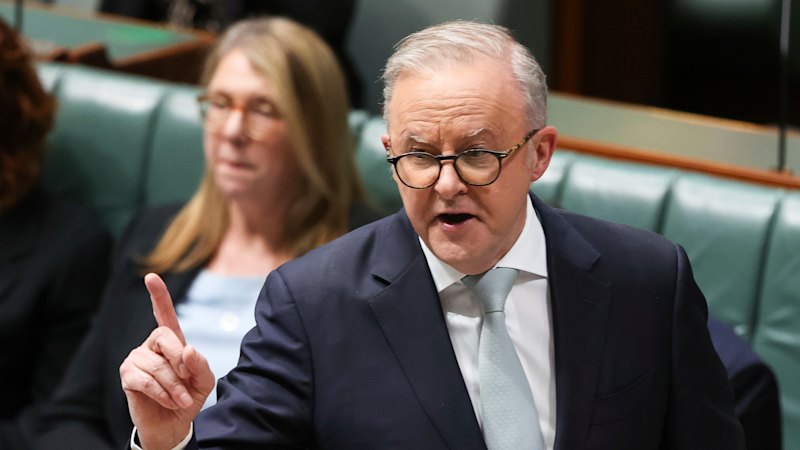 A larger parliament makes sense, but that’s not why Albanese wants one