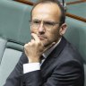 Is Bandt the new opposition leader? Greens step up in Coalition’s absence