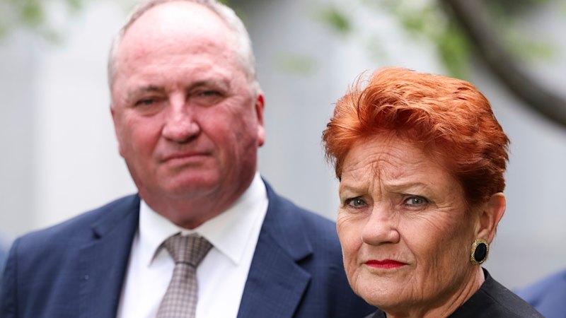 Hanson wants referendum to avoid hate speech laws