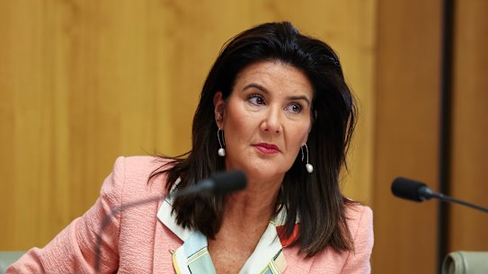 Senator Jane Hume will put her hand up for the position of deputy leader of the Liberal Party when a leadership spill is announced.