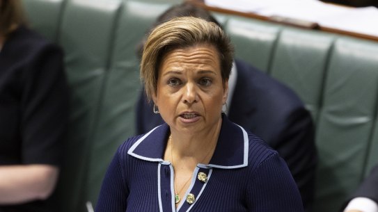 Michelle Rowland wants to force social media firms to deal with misinformation on their platforms.