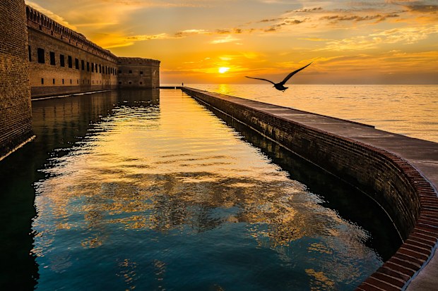 Bird flying along the water at sunset - Garden Key Florida