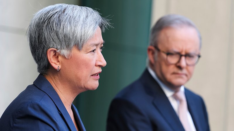 Albanese has negotiated his way through a minefield