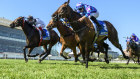 Craig Williams rides Mr Brightside (white silks) to victory in the CF Orr Stakes at Caulfield.