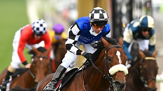 Ashrun did not race for almost three years after the 2020 Melbourne Cup.