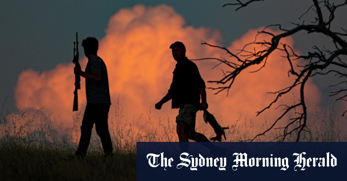 Rabbit hunting for dinner as introduced animals devastate Australian landscape - Vimarsana News