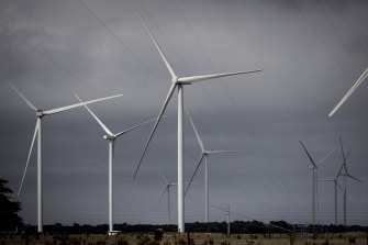 Wind turbines in south-west Victoria.