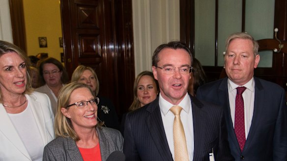 Michael O'Brien is the new leader of the Liberal Party, with Cindy McLeish as his deputy.