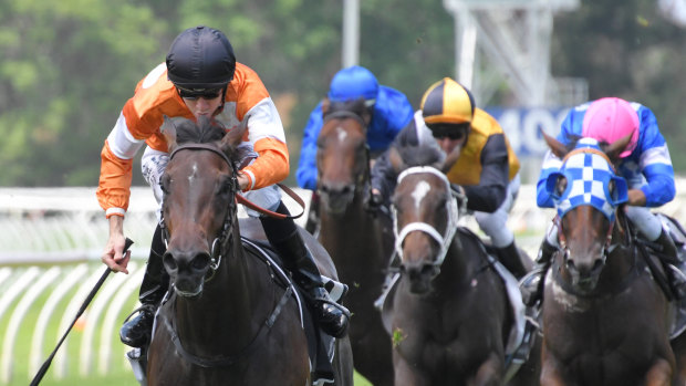 Orange crush: Lashes will look to back up a strong win four months back at Thursday's Wyong meeting.