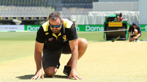 Not easy to transport: Head curator Brett Sipthorpe inspects the WACA pitch. 