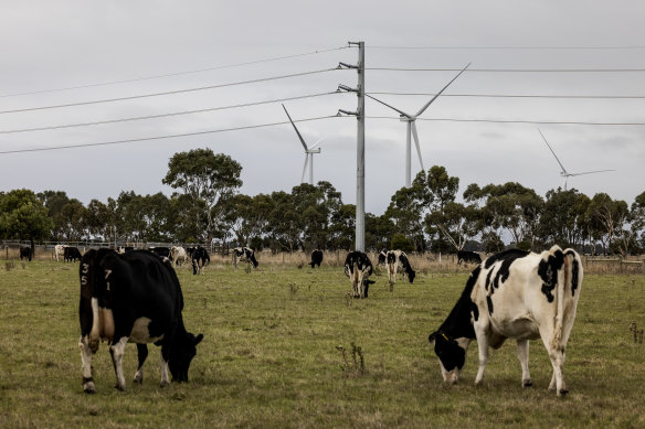 Victoria has a target to reach a 50 per cent share of renewable energy by 2030, a target that will likely need more storage options.
