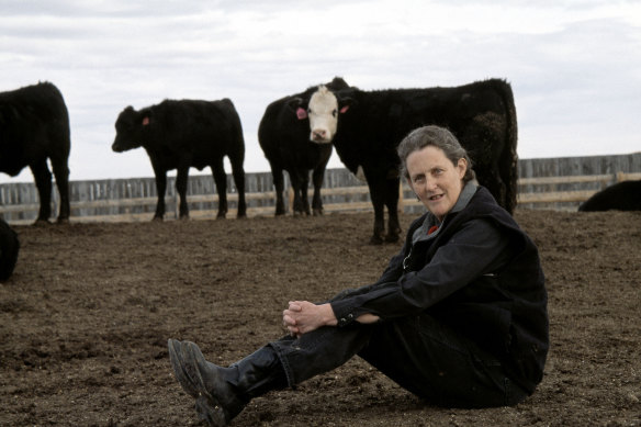 Temple Grandin, an American academic and animal behaviourist, was one of the first prominent people to disclose that she was autistic. 