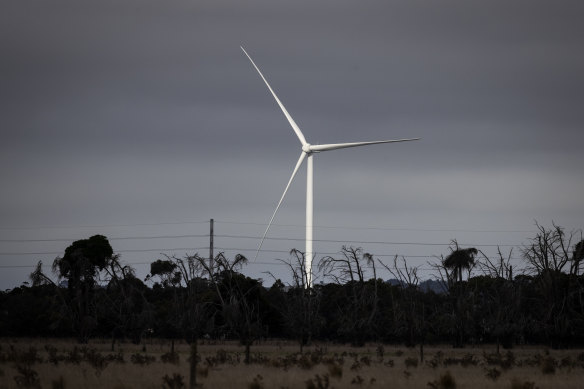 Australian companies are losing out on billions of dollars in institutional investment per day due to the federal government’s lack of policy clarity on climate change. 