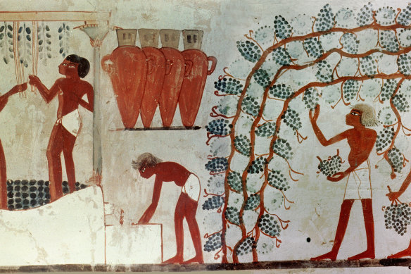 The ancient Egyptians enjoyed a tipple and recorded the fact in the tomb of the astronomer Nakht from about 1421BC.