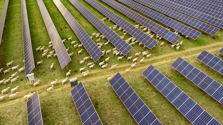 Christiana Figueres on Australia's Energy Crisis & Fuel Security