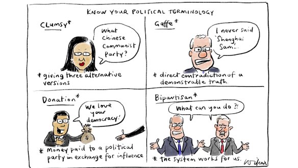 Illustration: Cathy Wilcox