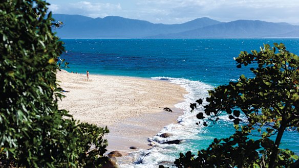 About 8000 Cairns residents have lost their jobs since the start of the coronavirus pandemic. 