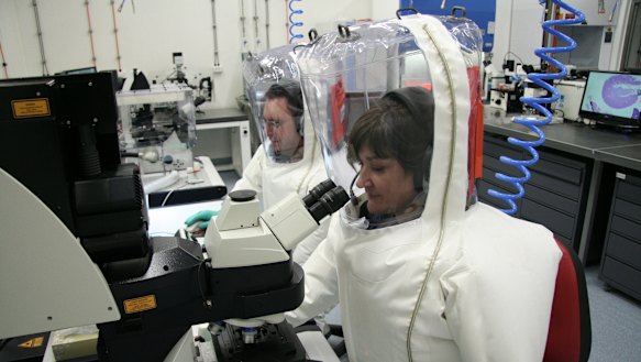 Scientists working in the secure area at CSIRO's Australian Animal Health Laboratory.