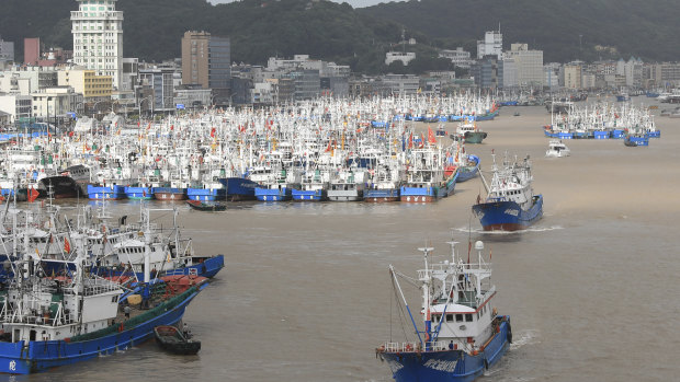 Fishing boats are docked at the Shenjiamen Fishing Port in Zhoushan city, China, in preparation for the typhoon Lekima.