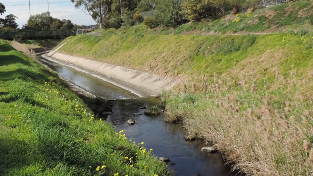 Moonee Ponds Creek where it becomes a concrete channel in Strathmore.