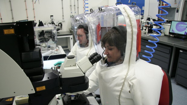 Scientists working in the secure area at CSIRO's Australian Animal Health Laboratory.