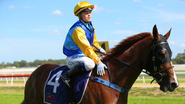 Hope: Captain Courageous won't be without support in race six at Hawkesbury on Tuesday.