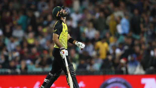 Glenn Maxwell can’t hide his frustration.