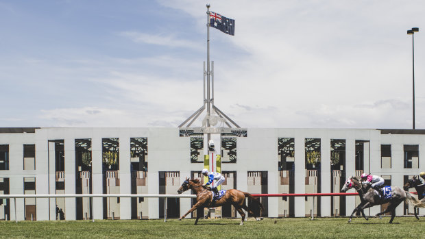 Canberra Racing will make a final decision on a potential master plan to redevelop part of their site until the end of October.