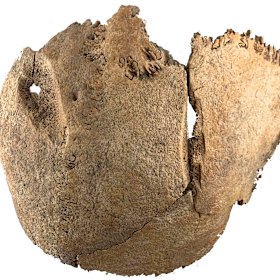 A skull with a sharp trauma found at the site.