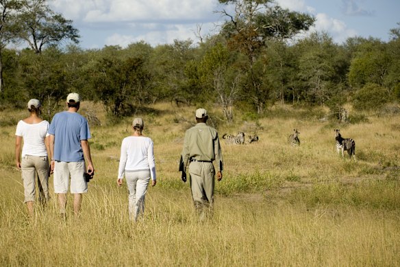 Walking safaris offer game reserve visitors a closer look.