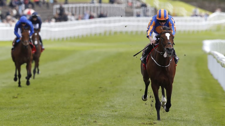 Spanner in the works? Rostropovich's career-best performance came a couple of months ago in the Irish Derby.
