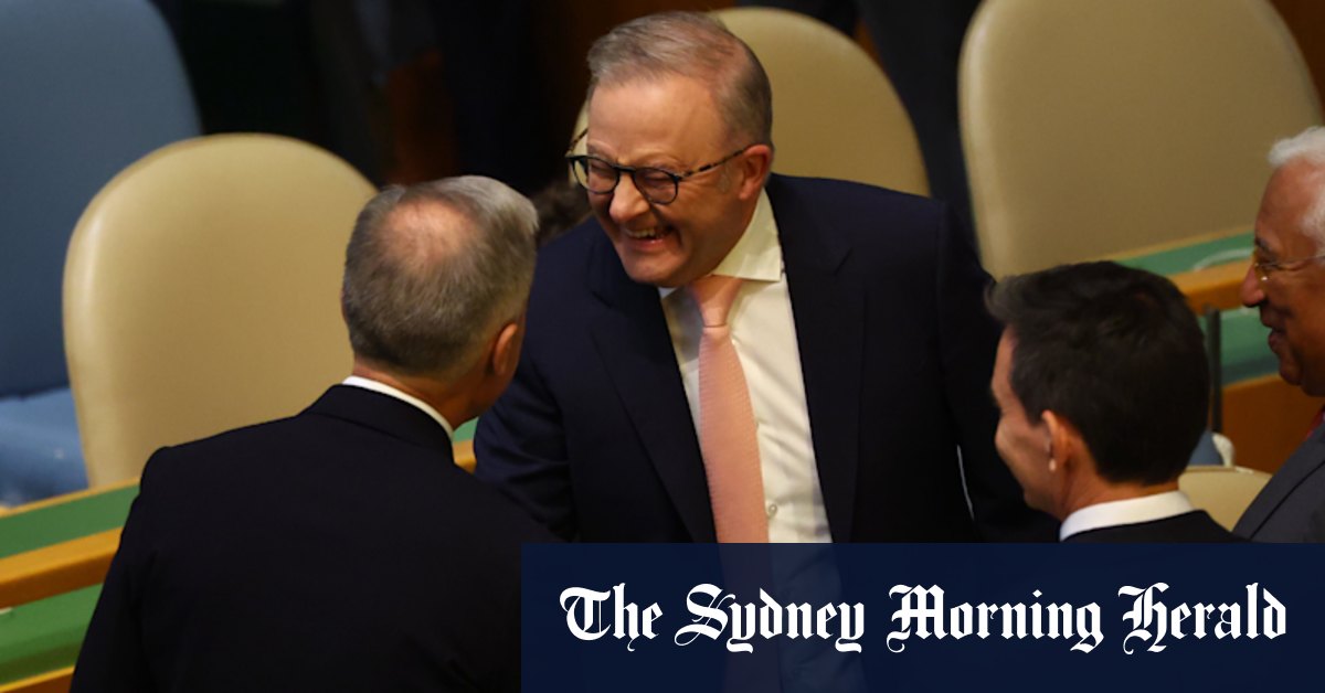 Anthony Albanese to attend progressive summit in London after meeting Donald Trump