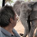 Big male tuskers can be beautiful, but frightening.