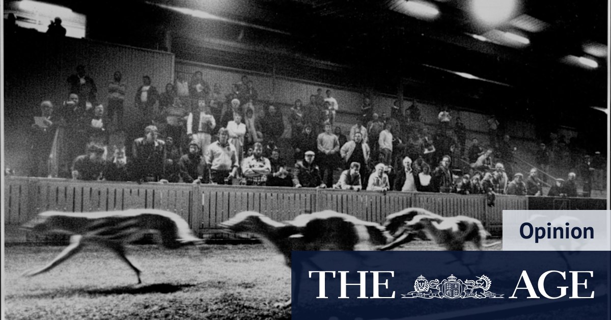 My First Job: I had all-areas access at the dog track. This is what being a nepo-baby looked like in our house - Vimarsana News